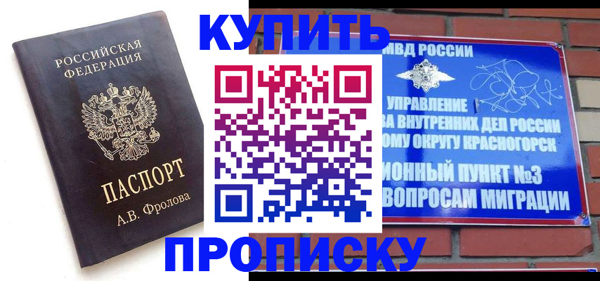 прописка поиск в Галиче